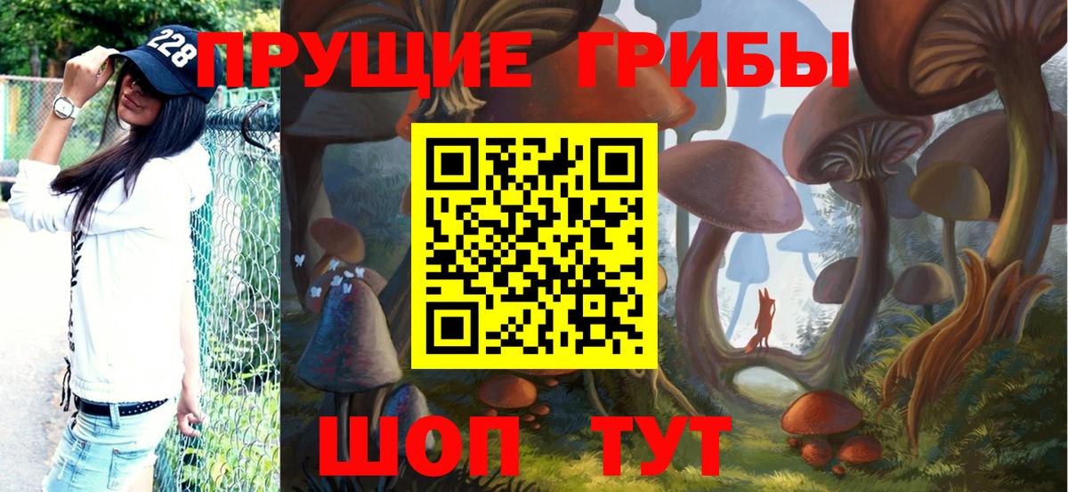 Галлюциногенные грибы Psilocybine cubensis  Вход с VPN  Борзя 